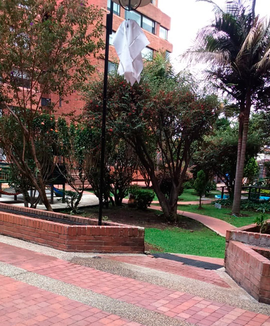 BosquePanorama07