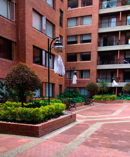 BosquePanorama08
